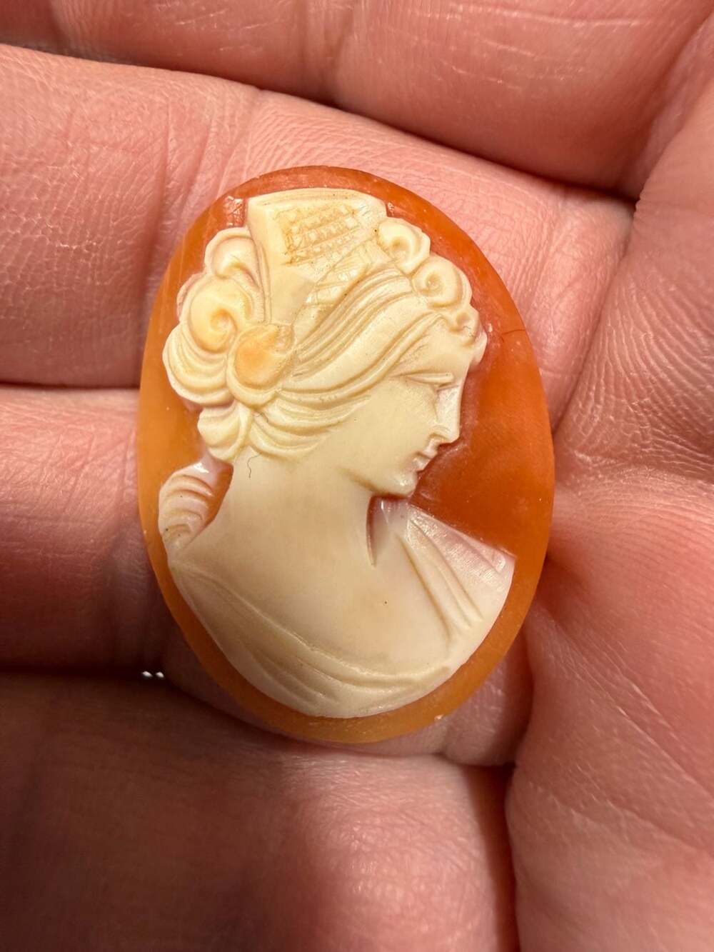 Vintage Hand Carved Shell Cameo Unmounted